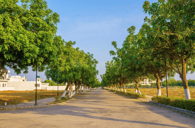 Project Image of 795.0 - 1430.0 Sq.ft 1 BHK Apartment for buy in Vatika Infotech City