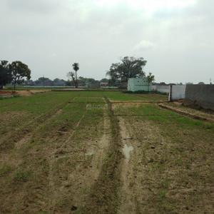 Project Image of 450.0 - 10350.0 Sq.ft Residential Plot Plot for buy in Shubham Jewar City