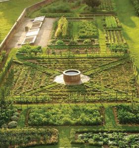 Project Image of 5445.0 - 10890.0 Sq.ft Residential Plot Plot for buy in Utopiaa
