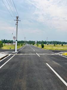 Project Image of 416.0 - 2717.0 Sq.ft Residential Plot Plot for buy in Oak Tree