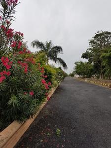 Project Image of 1503.0 - 4800.0 Sq.ft Residential Plot Plot for buy in Vensha Asian Township