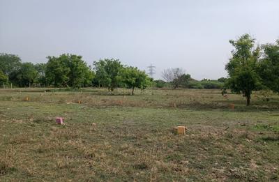 Project Image of 1050.0 - 1855.0 Sq.ft Residential Plot Plot for buy in Sri Ram Nagar