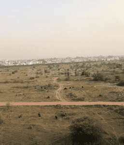 Project Image of 861.11 - 1049.48 Sq.ft Residential Plot Plot for buy in Avinash Aashiyana Extension