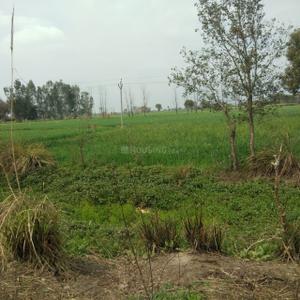 Project Image of 450.0 - 10350.0 Sq.ft Residential Plot Plot for buy in Shubham Jewar City