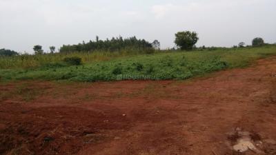 Project Image of 600.0 - 4000.0 Sq.ft Residential Plot Plot for buy in Purva Telecom Smart City 2