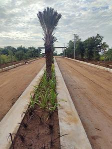 Project Image of 1440.0 - 2700.0 Sq.ft Residential Plot Plot for buy in Sai Brundavan