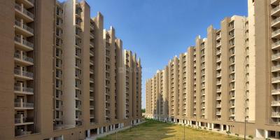 Conscient Habitat Elevation 1