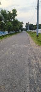 Project Image of 351.0 - 1157.0 Sq.ft Residential Plot Plot for buy in Green City