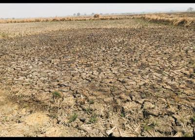Project Image of 1000.0 - 10000.0 Sq.ft Residential Plot Plot for buy in Icon Chirle Lands
