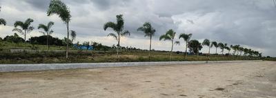 Project Image of 900.0 - 8964.0 Sq.ft Residential Plot Plot for buy in Hampton Palms
