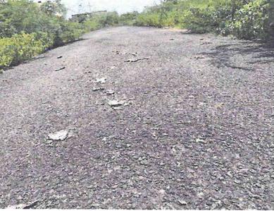 OM Shakthy Kanopus Internal Roads & Footpaths 1