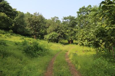 Project Image of 21776.0 - 59019.0 Sq.ft Residential Plot Plot for buy in Holistic Evernest Prime Roha