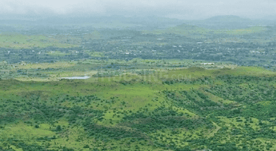 Project Image of 3715.59 - 6703.98 Sq.ft Residential Plot Plot for buy in Shapoorji Pallonji Treetopia Phase 5