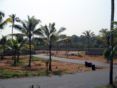 Project Image of 1572.0 - 3571.0 Sq.ft Residential Plot Plot for buy in Coral Gardens