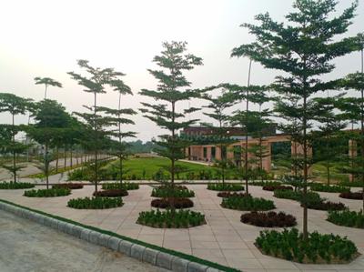 Project Image of 1250 Sq.ft Residential Plot / Land for sale in Kasimpur Viruha for Rs. 11700000