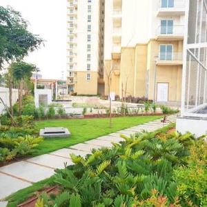 Project Image of 1910.0 - 5310.0 Sq.ft 3 BHK Apartment for buy in Aparna Elina