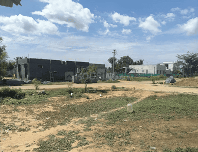 Project Images