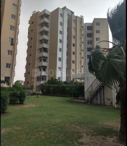Project Image of 1021.0 - 1848.0 Sq.ft 2 BHK Apartment for buy in Ansal Grace