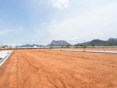 Project Image of 673.0 - 3831.0 Sq.ft Residential Plot Plot for buy in Temple View