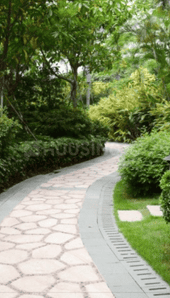 Project Image of 600.0 - 1800.0 Sq.ft Residential Plot Plot for buy in Sameera Greenlands