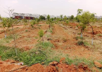 Project Image of 1350.0 - 2700.0 Sq.ft Residential Plot Plot for buy in Vision Siri Vanam