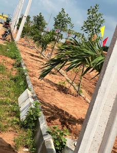 Project Image of 900.0 - 2970.0 Sq.ft Residential Plot Plot for buy in Mahadhri Highway County