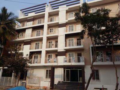 Honey Silver Cloud Elevation 3