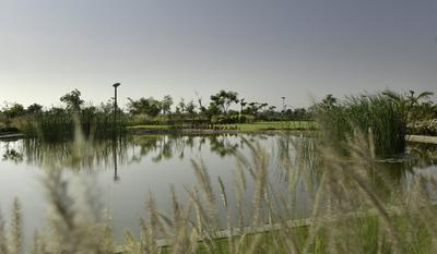 Project Image of 4320.0 - 10125.0 Sq.ft Residential Plot Plot for buy in Synthesis Suramya Lifespace