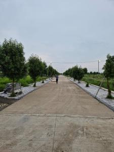 Project Image of 800.0 - 4500.0 Sq.ft Residential Plot Plot for buy in Silicon Sansaara