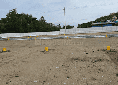 Project Images