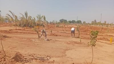 Project Image of 1350.0 - 1800.0 Sq.ft Residential Plot Plot for buy in AVM Keertika Farms