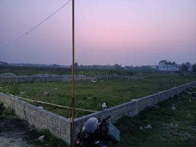 Project Image of 720 Sq.ft Residential Plot / Land for sale in Bhasa for Rs. 700007