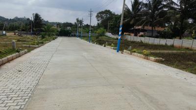 Project Image of 1200.0 - 1500.0 Sq.ft Residential Plot Plot for buy in Royale Properties Bethel Phase 1