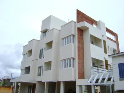 Confident Rigel Images for Elevation of Confident Rigel 1