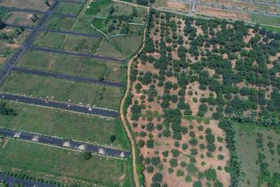 Project Image of 1502.96 - 3744.01 Sq.ft Residential Plot Plot for buy in Luckie Township Phase II