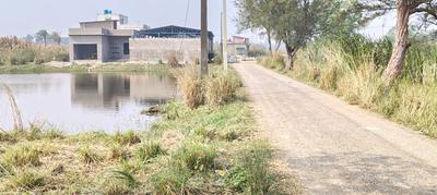 Project Image of 1440 Sq.ft Residential Plot / Land for sale in Uttar Gauripur for Rs. 600006