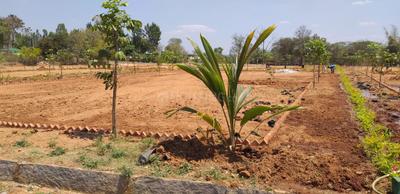 Project Image of 5990.0 - 16335.0 Sq.ft Residential Plot Plot for buy in Adithya DMR Farms