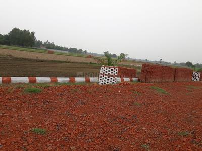 Project Images