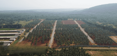 Project Image of 1350.0 - 9000.0 Sq.ft Residential Plot Plot for buy in SBD Royal Vihar