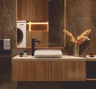 Balaji Oriana World Bathroom 1