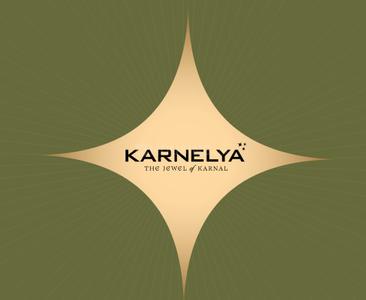 Project Image of 1125.0 - 1613.94 Sq.ft Residential Plot Plot for buy in Aarize Karnelya