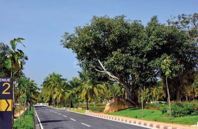 Project Image of 1013.0 - 1856.0 Sq.ft Residential Plot Plot for buy in Chartered Veda