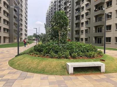 Project Image of 745.72 - 1012.02 Sq.ft 1 BHK Apartment for buy in Sobha Dream Acres Tropical Greens Phase 20 Wing 18
