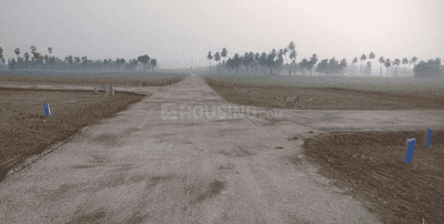 Project Images