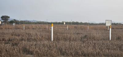 Project Image of 1000.0 - 10000.0 Sq.ft Residential Plot Plot for buy in Bhoomi Plots In Ranjanpada