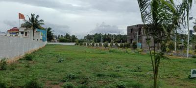 Project Image of 654.0 - 3007.0 Sq.ft Residential Plot Plot for buy in Dream Emerald Avenue