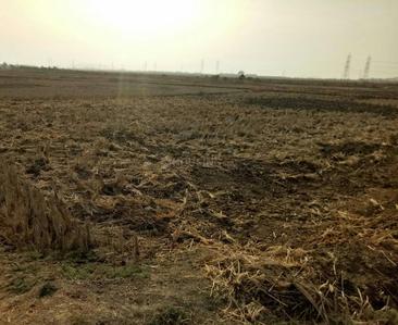 Project Image of 1000.0 - 3000.0 Sq.ft Residential Plot Plot for buy in Green Empire Land