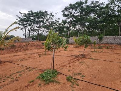 Project Image of 5445.0 - 9000.0 Sq.ft Residential Plot Plot for buy in Sahasra Mango Garden Phase 1
