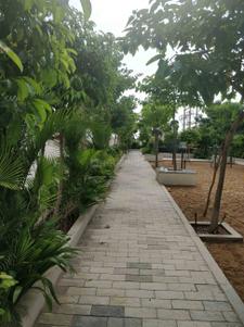 Project Image of 980.0 - 1405.0 Sq.ft 2 BHK Apartment for buy in Arboretum Magnolia