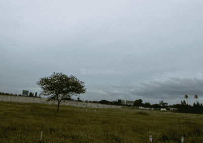 Project Images